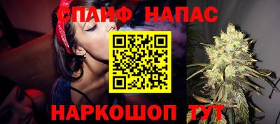 МДПВ Ливны