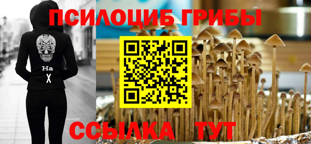 Галлюциногенные грибы GOLDEN TEACHER Черногорск